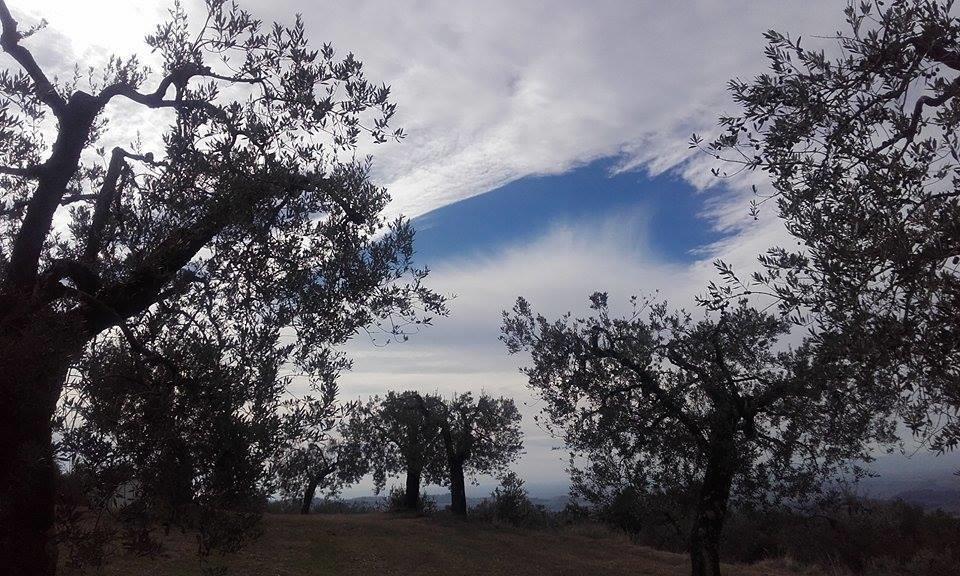 Tramonti E Valli Calvi dellʼ Umbria المظهر الخارجي الصورة
