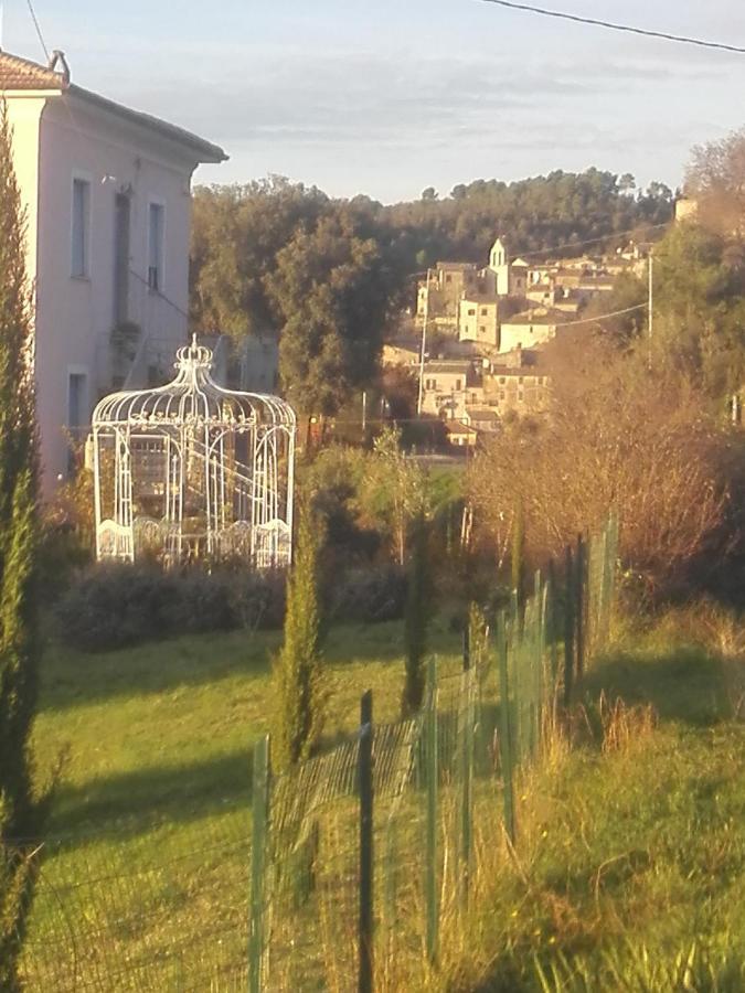 Tramonti E Valli Calvi dellʼ Umbria المظهر الخارجي الصورة